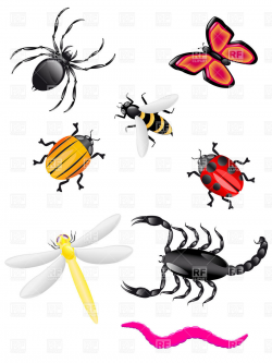 Bugs and insects clipart kid 3 - Clipartix