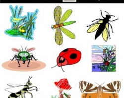 Cute bugs clip art | Etsy