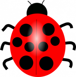 Red Ladybug Clip Art at Clker.com - vector clip art online, royalty ...
