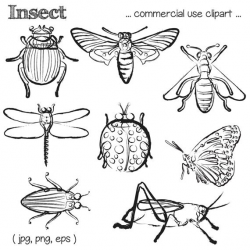 Insect Clipart Bug Clipart Bug Clip Art Insect Clip Art