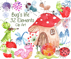 Cute Bugs Clipart:BUGS CLIPART Watercolor bugs