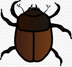 Beetle Drawing Clip art - bugs png download - 2400*2210 - Free ...