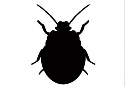 Bugs Silhouette at GetDrawings.com | Free for personal use Bugs ...