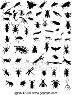 Vector Art - Collection of bugs. Clipart Drawing gg58717058 ...