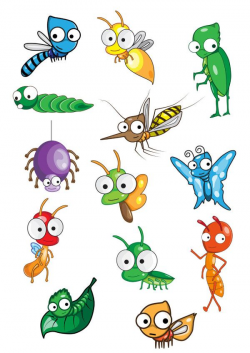 Insect Vector Cartoon Animals | Free Vectors | Pinterest | Insects ...