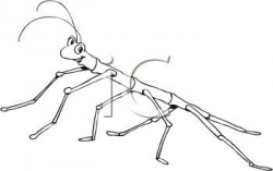 Stick Insect Clip Art Black And White Sketch Coloring Page ...