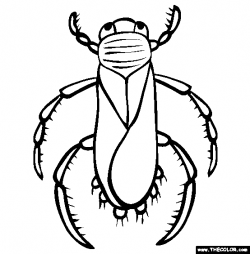 Insect Online Coloring Pages | Page 1