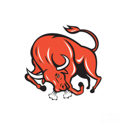 Angry Bull Charging Cartoon Digital Art by Aloysius Patrimonio
