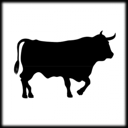 Bull Clipart - clipart