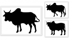Brahman Bulls SVG PDF PNG Jpg Eps Dxf File Custom Designs