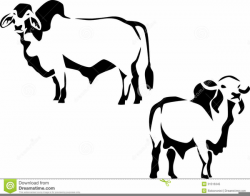 Brahman Bull Clipart | Free Images at Clker.com - vector clip art ...