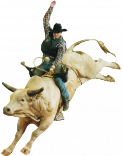 Bull Riding PNG HD Transparent Bull Riding HD.PNG Images. | PlusPNG