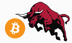 Bitcoin - Bull or Bear TRAP ? — Steemit