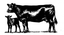 Silhouette Of Cow at GetDrawings.com | Free for personal use ...