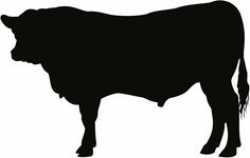 Black angus bull silhouette clipart - ClipartFest | Inspiration ...