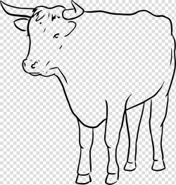 Cattle Bull Drawing Line art, draw transparent background ...