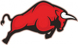 40 best Bulls Logos images on Pinterest | Advertising, Animal ...