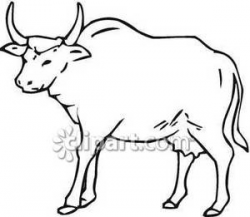 Bull clipart black and white 9 » Clipart Station