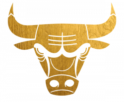 Chicago Bulls | Gold Logo | Chicago Bulls | Pinterest | Chicago ...