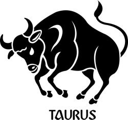 IT'S THE BULL SEASON – TAURUS (20/4 – 20/5) | The Insider MIU ...