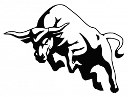 Bull PNG Transparent Images | PNG All