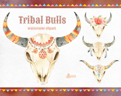 Tribal Bulls. Watercolor hand painted clipart. 4 skulls with