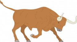 Indian bull clipart - Clipground