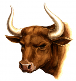 Download wallpaper: clipart, picture, head bull with , download ...