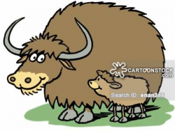 Highland Bull Cartoons and Comics - funny pictures from CartoonStock