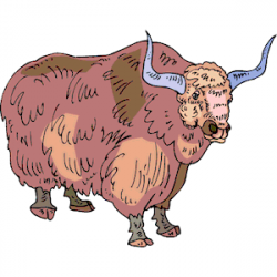 Yak clipart, cliparts of Yak free download - Clip Art Library