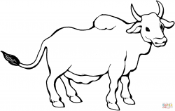 Zebu coloring page | Free Printable Coloring Pages