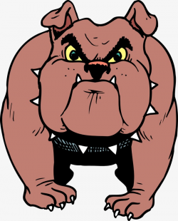 Angry Dog wearing A Collar, Bulldog, Dog, Pet PNG Image and ...