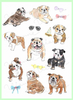 10136 best bulldogs images on Pinterest | English bulldogs, Bulldog ...