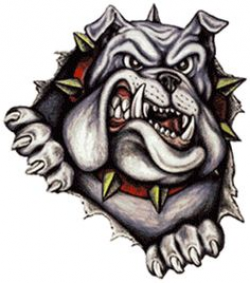 14 Cartoon Bulldog Images Free Cliparts That You Can Download To You ...
