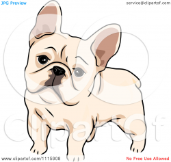 French Bulldog clipart animated - Pencil and in color french bulldog ...