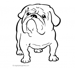 Fascinating Bulldog Coloring Pages 64 French Page Free Printable ...