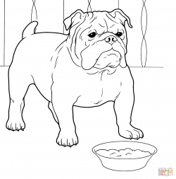 English Bulldog Coloring Pages Download | Coloring For Kids 2018