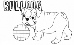 Bulldog pictures to color french bulldog clipart coloring page ...
