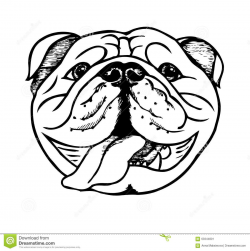 English Bulldog Black White Stock Illustrations, Vectors ... | Pups ...