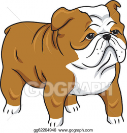 Vector Clipart - English bulldog. Vector Illustration gg62204946 ...