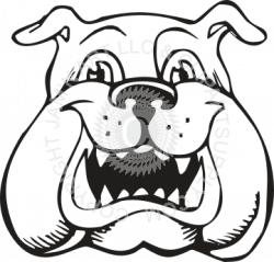 Bulldog Puppy Drawing at GetDrawings.com | Free for personal use ...