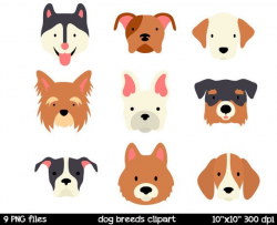 Dog Breeds clipart Dog Face Clipart Husky Clipart by SorbetBox ...