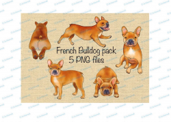 Dog clipart French bulldog clipart instant download. PNG transparent ...