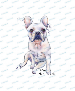 French bulldog art. clipart instant download. Digital clipart pen ...