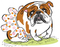 102 best Bulldogs images on Pinterest | Bulldog breeds, Bulldogs and ...