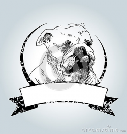 Bulldog clipart vintage - Pencil and in color bulldog clipart vintage