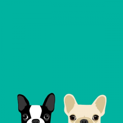 13 best Wallpapers images on Pinterest | French bulldogs, French ...