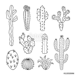 Image result for cactus line drawing | Cactus | Pinterest | Outlines ...