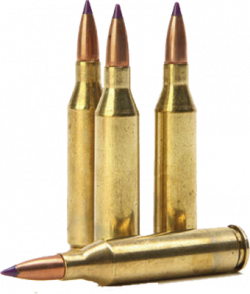 Transparent Rifle Bullets PNG | PNG Mart