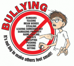 Oasis Academy Fir vale | Anti-Bullying Academy